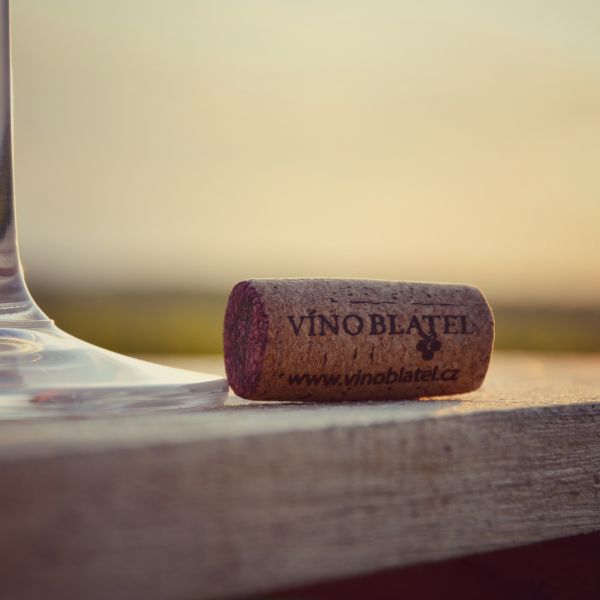 Putování po vinicích VÍNO BLATEL